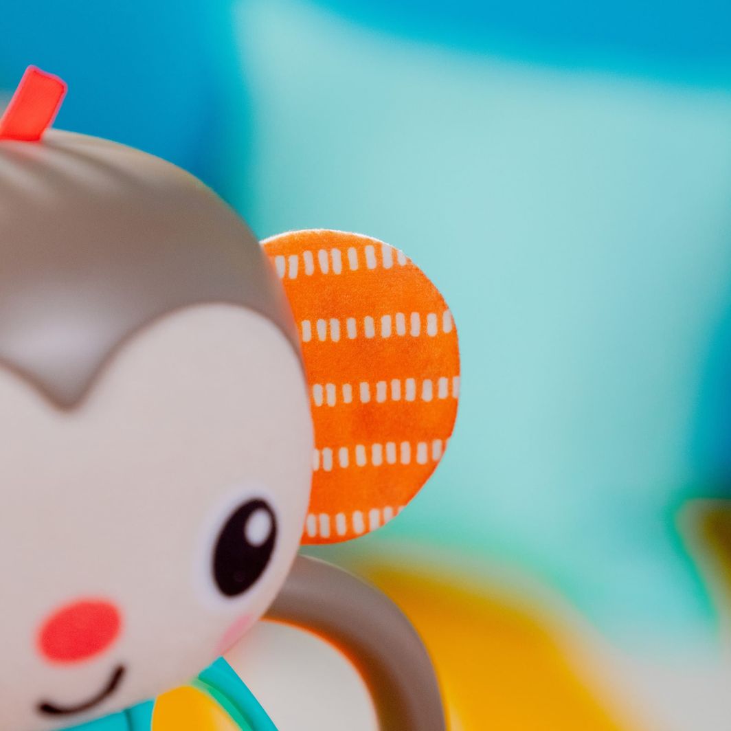 Bright Starts Baby Toy, Grab and Shake - Monkey Oball