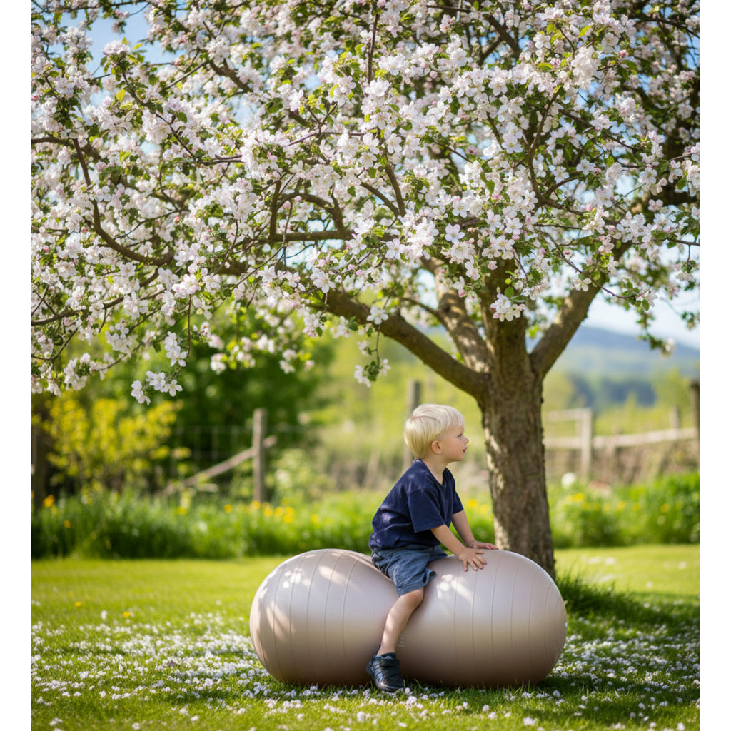 Find that Hippo Peanut-Shaped Balance Ball, Tuscany