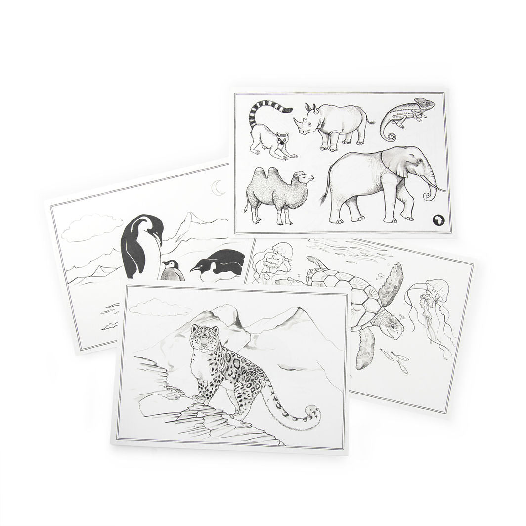 Moulin Roty Kidywolf Drawing Stencils 24 pcs - Tout autour du monde