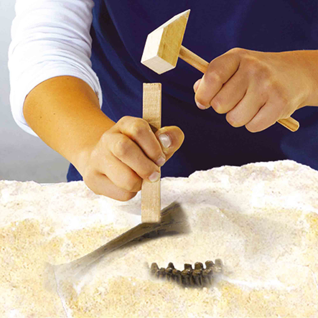 SES Creative, Explore, Dig Out - Stegosaurus and Skeleton