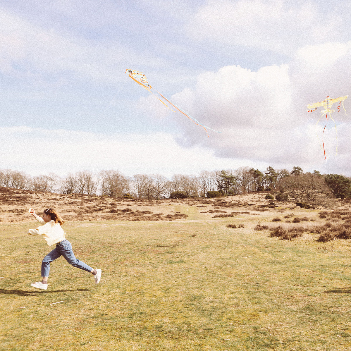 Djeco Kite, Flyer