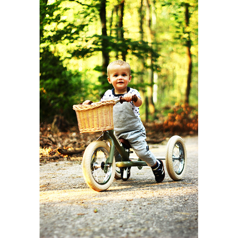 Trybike Woven Basket for Bicycle
