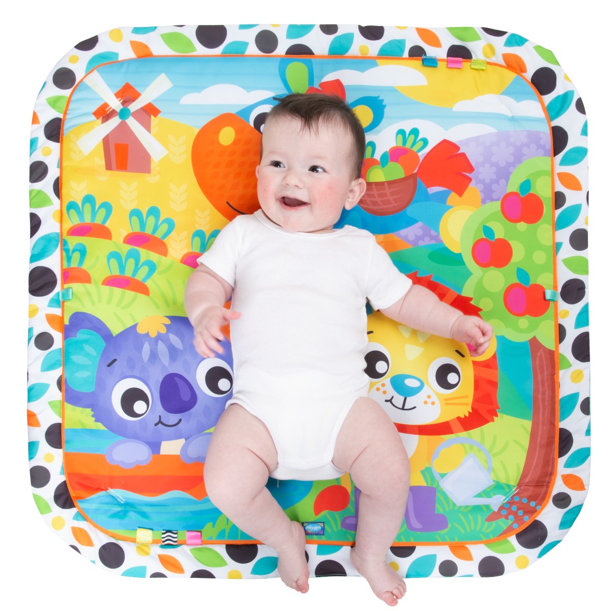 Giggly Garden Baby Toy, Musical Gym - Activity Mat