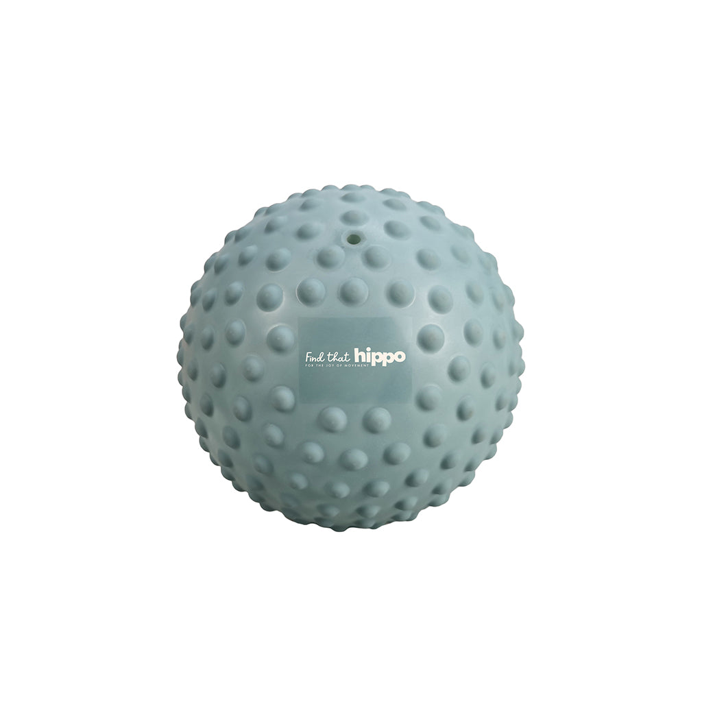 Discover the Hippo Sansebold, Large - Weldon Blue