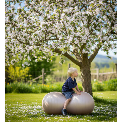 Find that Hippo Peanut-Shaped Balance Ball, Dark Grey