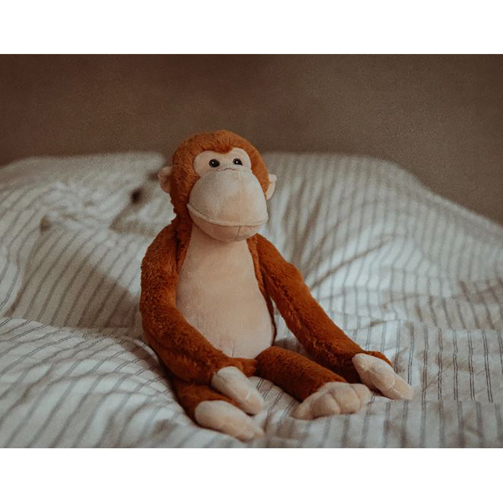 By Astrup tyngdedyr, abe - 0.5 kg