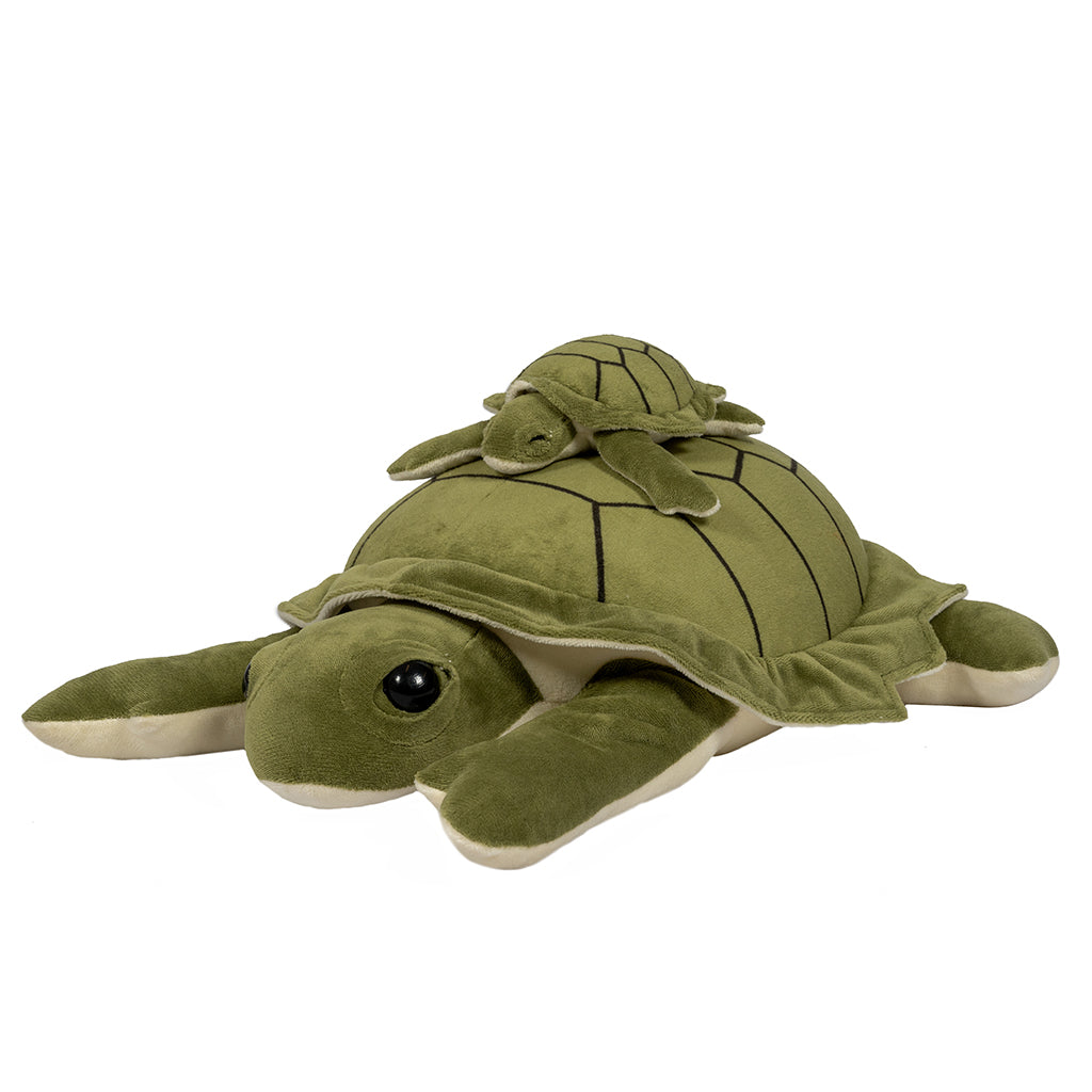 By Astrup tyngdedyr, skildpadde - 1.6 kg