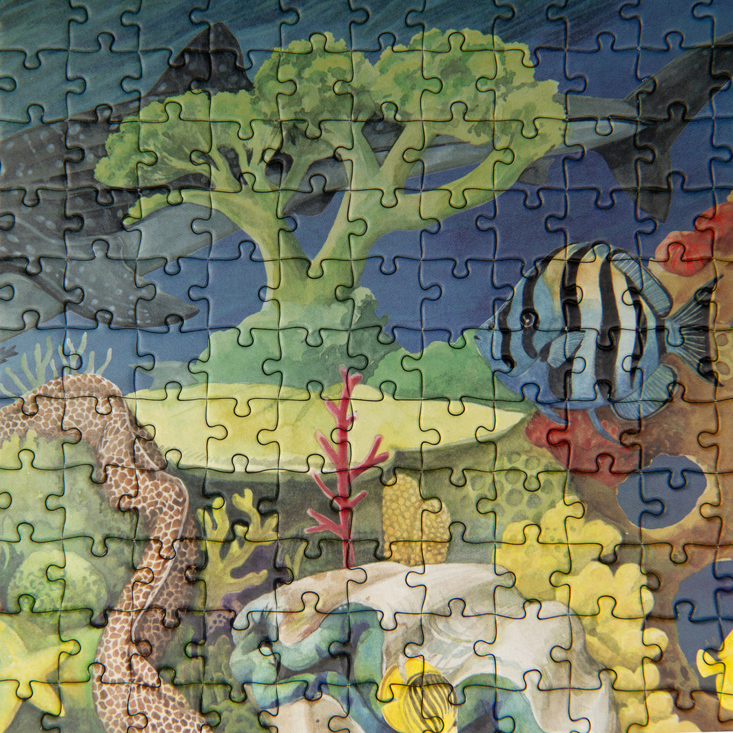 Moulin Roty - Puzzle 1000 pcs - Coral Reef