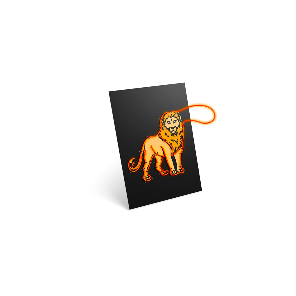 Kidyneon, DIY Glow-in-the-Dark Pictures with Orange Neon Thread - Animal