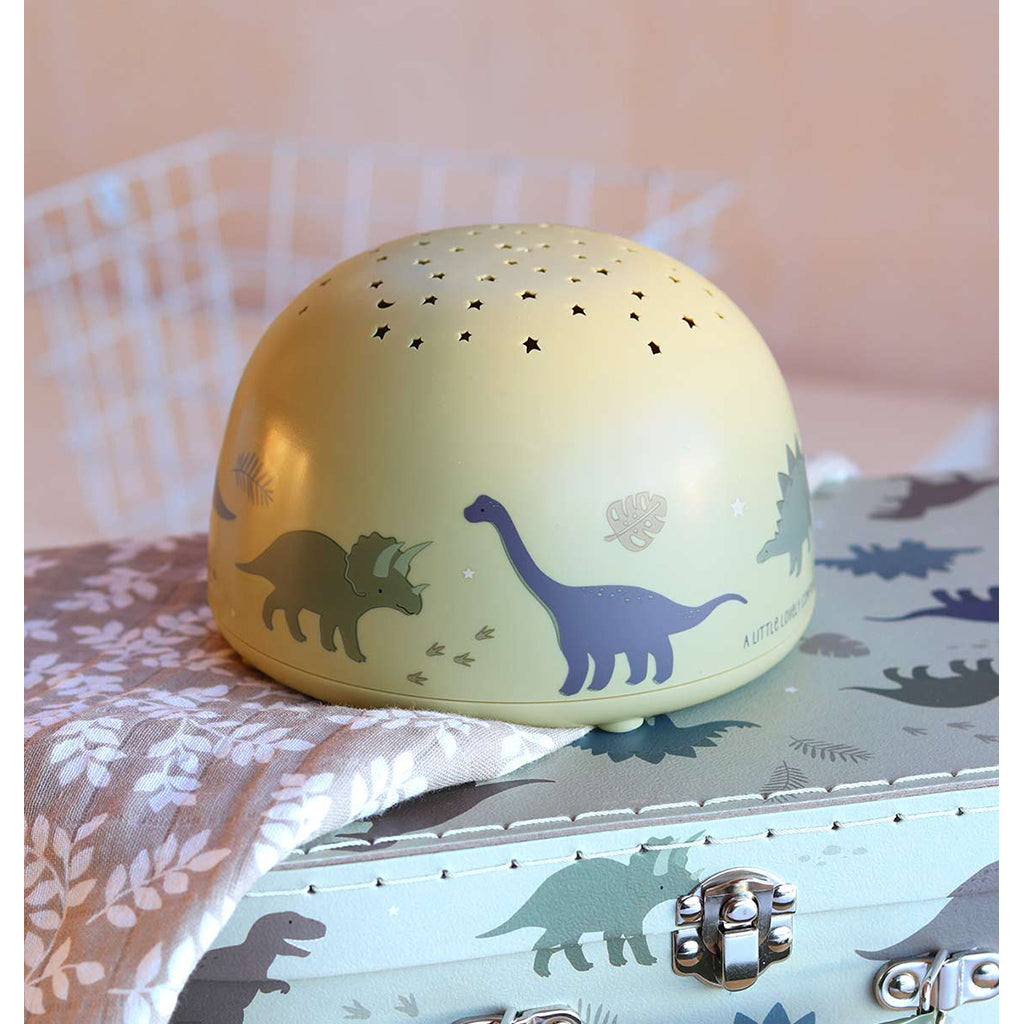 A little lovely company, Dinosaur projector - vågelampe