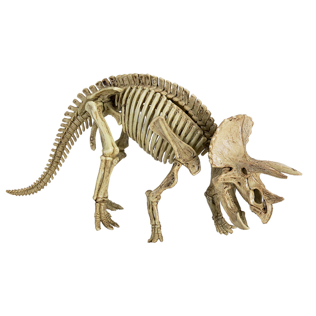 Spiegelburg, Excavation Set - Triceratops