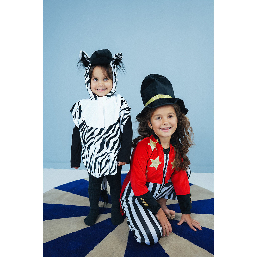 The Good Fairy Animal Costume, Zebra Size 1-4 Years