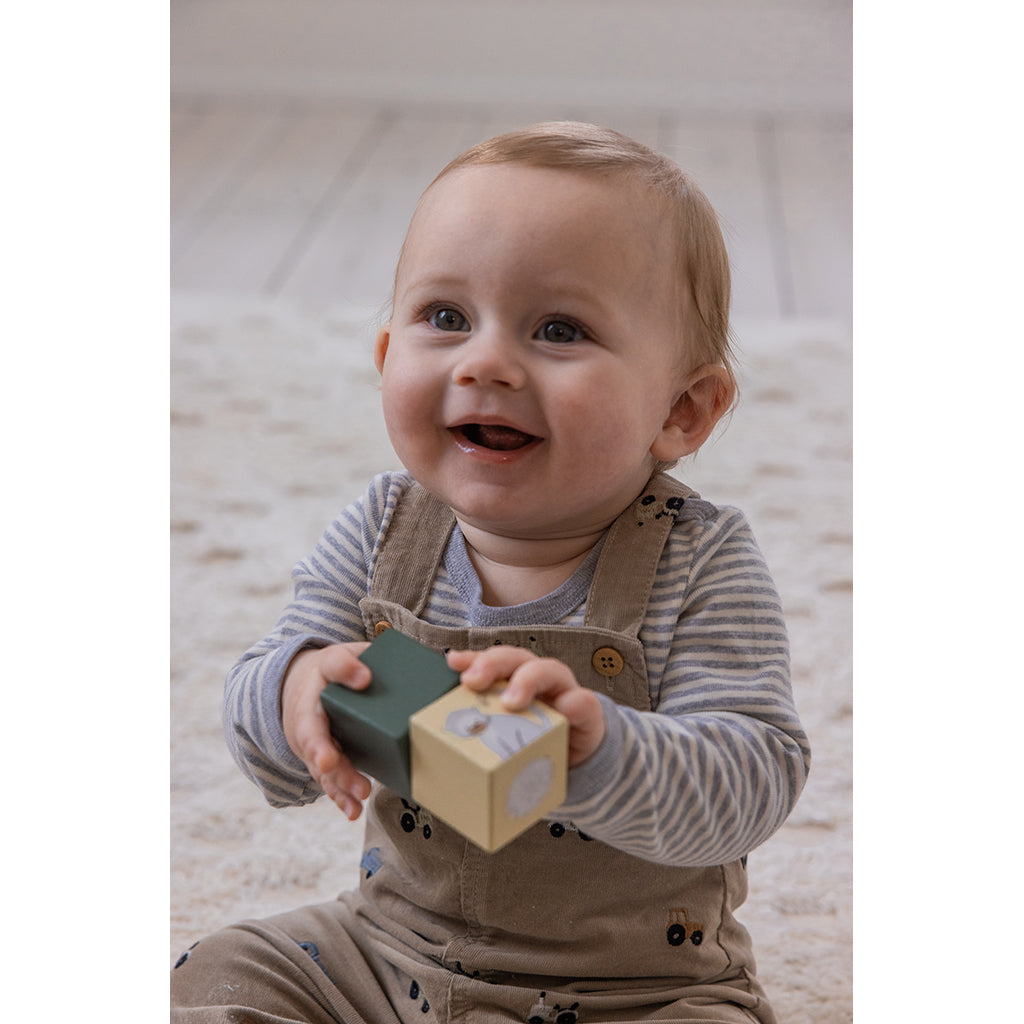 Sebra Magic Block Box, World of Sebra