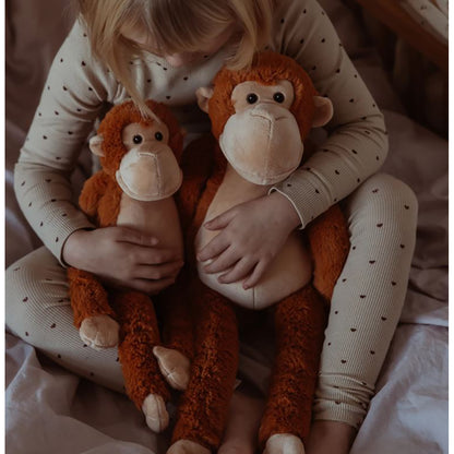By Astrup tyngdedyr, abe - 1.1 kg