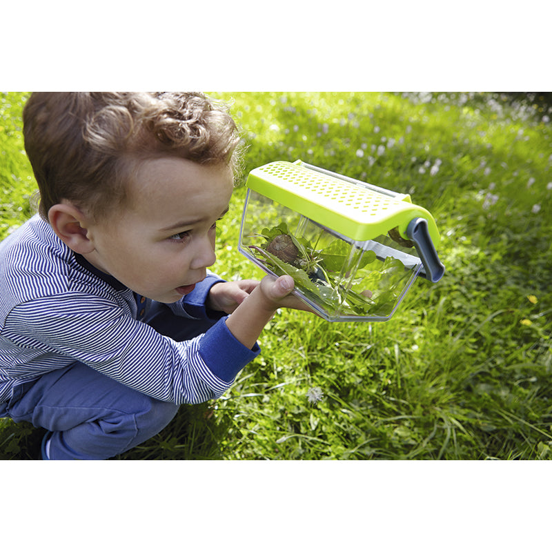 Haba Insect Viewing Box
